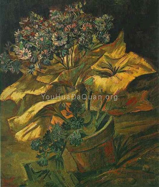 花盆里的爪叶菊 - 文森特·威廉·梵高